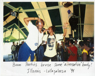 Lollapalooza Illinois 1994 thumbnail