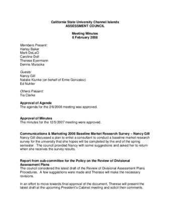 2008_02_06 Assessment Council Minutes thumbnail