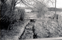 Gallegos farm, El Cerro Ditch 004 thumbnail