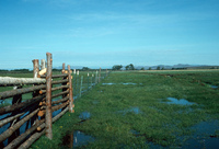 Irrigating fields 012 thumbnail