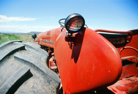 Kaber farm, Weed whacking 035 thumbnail