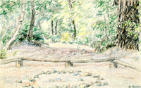 Campsite in forest thumbnail