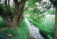 Kaber farm, Irrigating fields 020 thumbnail