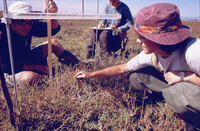 Pt. Mugu Wetlands thumbnail