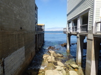 A view of Monterey Bay behind Ricketts' Lab on Cannery Row. thumbnail