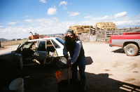 Kaber farm, Making chicharrones 039 thumbnail