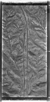 1993 KIN-269 6-139 [Kings County highways, aerial survey, 1993] thumbnail