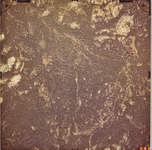 1970 EWA-19-129 [Fresno County, California, aerial survey, 1970] thumbnail