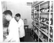 Pharmacists. thumbnail