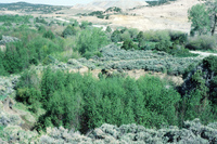 Farming in San Luis Valley 019 thumbnail