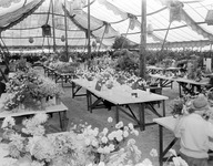 Tables of flowers at the county fair thumbnail