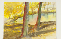 09 Woodward Park thumbnail