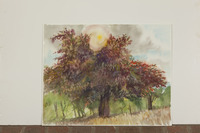 Beech Sun And Sun thumbnail