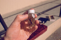 Pt. Mugu Wetlands thumbnail