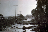Saticoy Bridge after the St. Francis Dam Flood thumbnail