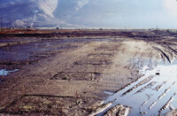 Pt. Mugu Wetlands thumbnail