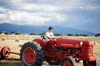 Kaber farm, Tractor driving 009 thumbnail
