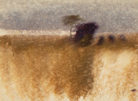 Rainy Landscape thumbnail