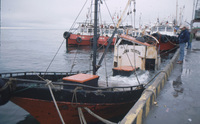 Mike next to sunken boat at Punta Arenas dock thumbnail