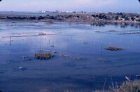 Pt. Mugu Wetlands thumbnail