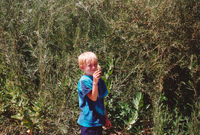 Gallegos farm, Irrigating crops and the Colorado Historical Society 012 thumbnail