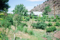 Kaber farm, Volunteers and animals 016 thumbnail