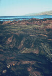 ODC Rocky Shore Lecture thumbnail