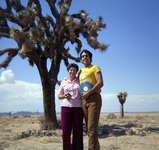High Desert Frisbee playing thumbnail