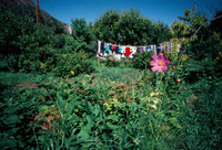 Anguallo farm, Landscapes 005 thumbnail