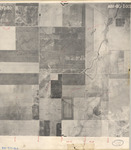 1950 ABI-8G-103 [Fresno County, California aerial survey, 1950] thumbnail