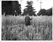 Unknown man in field. thumbnail