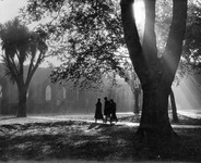 College campus at dusk. thumbnail
