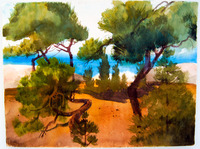 28 Asilomar thumbnail