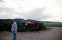 Kaber farm, Fields and crops 003 thumbnail