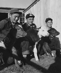 [Three high school students with their calves at Granada incarceration camp] thumbnail
