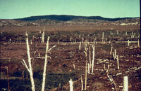 Downwind of copper smelter outside of Sudbury, Ontario, Canada thumbnail