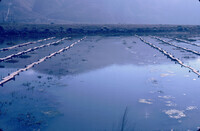 Pt. Mugu Wetlands thumbnail