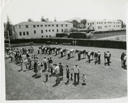 [Horse judging] thumbnail
