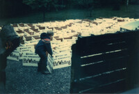Child holding a Patricia Whiting re-election sign thumbnail