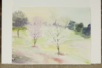 Woodward Park Two Blossom Trees thumbnail