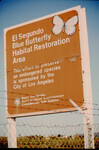 El Segundo Blue Butterfly Habitat Restoration Area thumbnail