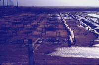 Pt. Mugu Wetlands thumbnail