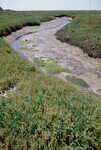 Pt. Mugu Wetlands thumbnail