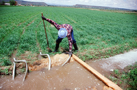 Kaber farm, Irrigating fields 036 thumbnail