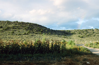 San Luis Valley farms 061 thumbnail