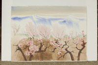 Closeup Pink Blossoms And Streaky Blue mountains thumbnail