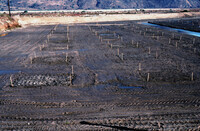 Pt. Mugu Wetlands thumbnail