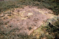 Pt. Mugu Wetlands thumbnail