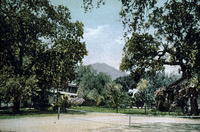 Penny Postcard of the Oak Glen Cottages in Ojai, CA thumbnail