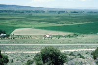 Crops growing in San Luis Valley 014 thumbnail